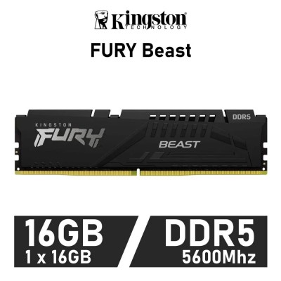 Kingston Fury Beast 16GB 5600MHz DDR5 CL40 1.25v