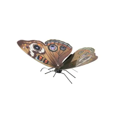 Maqueta 3d Metal Fascinations Mariposa Buckeye Montaje Sin