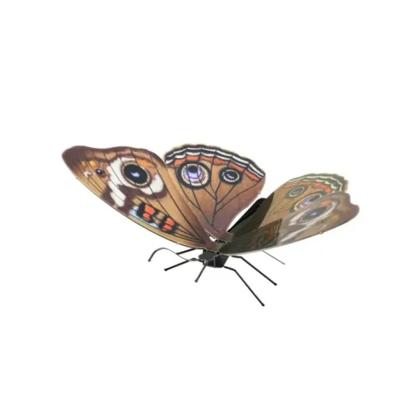 Maqueta 3d Metal Fascinations Mariposa Buckeye Montaje Sin Pegamento Ni Soldadura