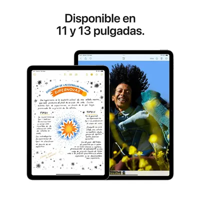 Apple iPad Air 2024 11' 256GB con M2 Wifi Blanco Estrella