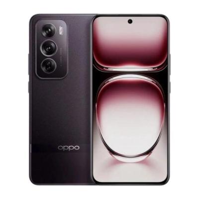 OPPO Reno12 Pro 17 cm (6.7") SIM doble Android 14 5G USB Tipo C