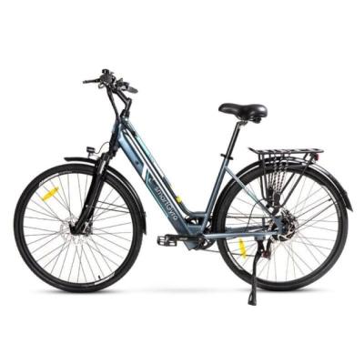 Bicicleta Eléctrica SmartGyro Ebike Sunset Titanium/ Motor