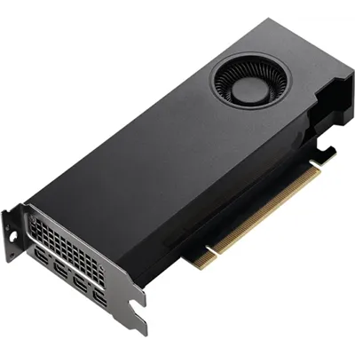 NVIDIA Quadro RTX A2000 LP 12GB GDDR6 Bulk-Version