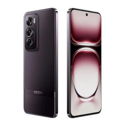 OPPO Reno12 Pro 17 cm (6.7") SIM doble Android 14 5G USB Tipo C