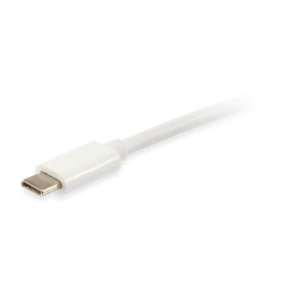 Cable Usb Platinum Usb-c Macho A Usb-c Macho 2m Equip Color