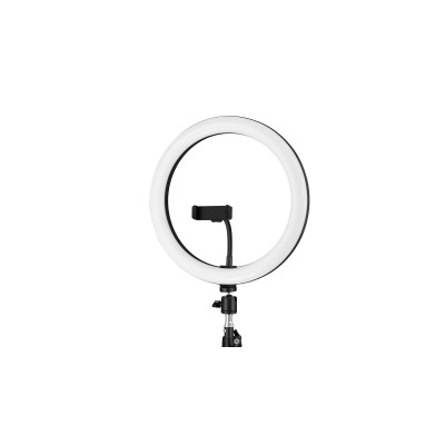 Iggual kit aro luz led 10" + trípode 200 cm