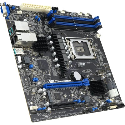 ASUS P13R-M/10G-2T