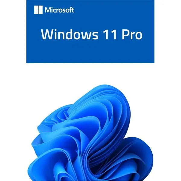 Microsoft Windows 11 Pro 64Bits Caja física