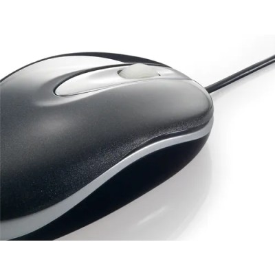 Mouse Conceptronic Easy Optical Usb Negro Y Plata C08-278