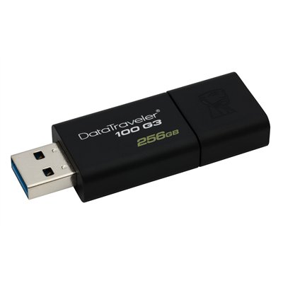 Kingston Technology DataTraveler 100 G3 unidad flash USB 256 GB