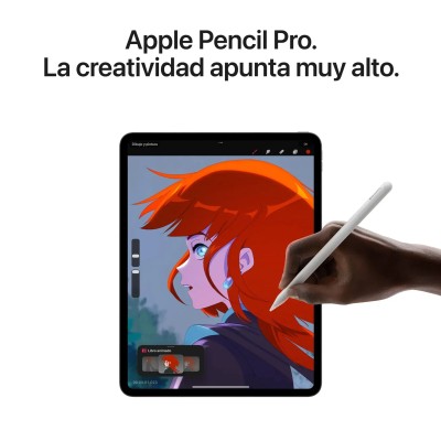 Apple iPad Pro 11' 2024 Wi-Fi con M4 2TB Plata