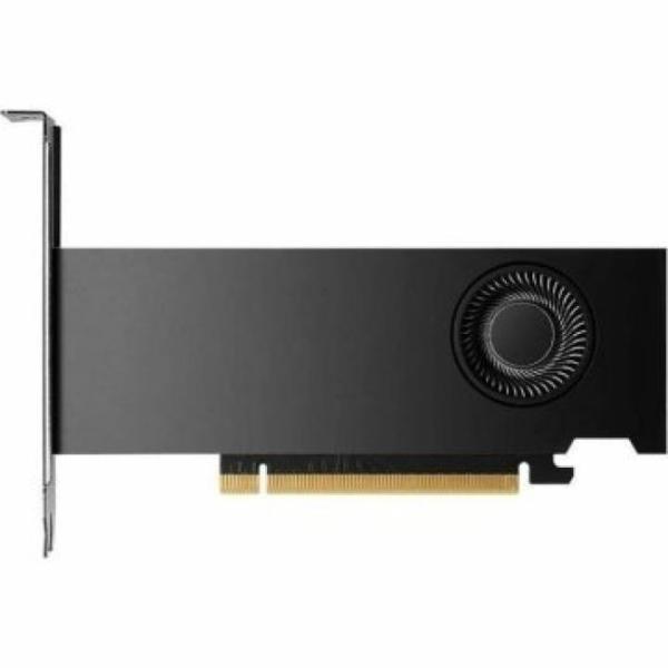 Vga Nvidia Rtx 2000 Ada 16 Gb Gddr6 2 Brackets.