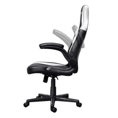 Silla Gamer Trust Gxt 703 Negra/blanca 25130 Elevador De Gas