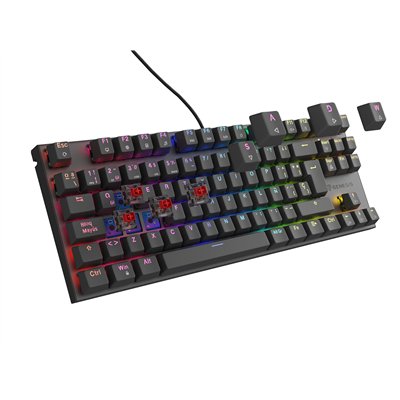 GENESIS Thor 303 TKL teclado Juego USB QWERTY Español Negro