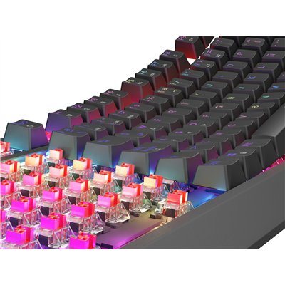 GENESIS Thor 230 TKL teclado Juego USB QWERTY Español Negro