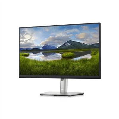 DELL P Series Monitor 60,45cm (23,8") – P2423D