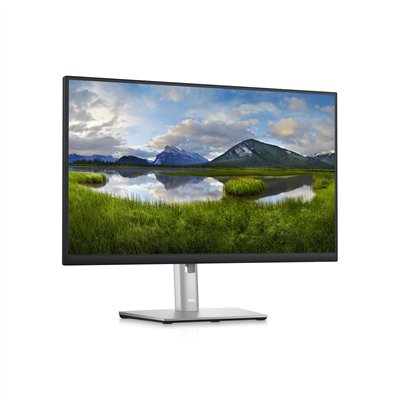 DELL P Series Monitor 60,45cm (23,8") – P2423D