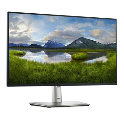 DELL P Series P2425HE pantalla para PC 61 cm (24") 1920 x 1080