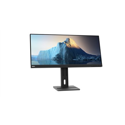 Lenovo ThinkVision E29w-20 LED display 73,7 cm (29") 2560 x