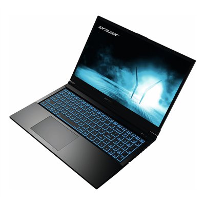 Erazer MD62593 Intel® Core™ i5 i5-12450H Portátil 39,6 cm