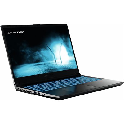 Erazer MD62593 Intel® Core™ i5 i5-12450H Portátil 39,6 cm