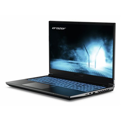 Erazer MD62593 Intel® Core™ i5 i5-12450H Portátil 39,6 cm