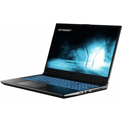 Erazer MD62593 Intel® Core™ i5 i5-12450H Portátil 39,6 cm