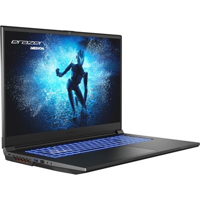 Erazer Defender P40 Intel® Core™ i7 i7-13700HX Portátil 43,9 cm