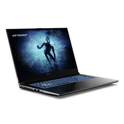 Erazer MD62643 Intel® Core™ i7 i7-12650H Portátil 43,9 cm