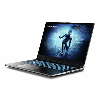 Erazer MD62643 Intel® Core™ i7 i7-12650H Portátil 43,9 cm