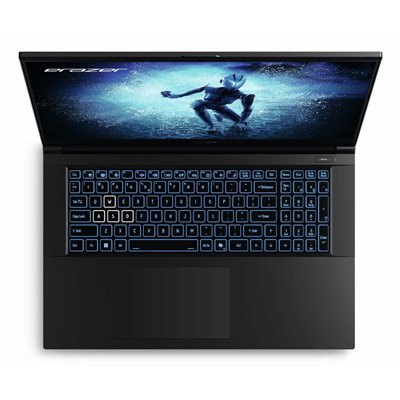 Erazer MD62643 Intel® Core™ i7 i7-12650H Portátil 43,9 cm