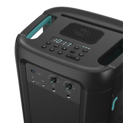 Hisense HP110 altavoz portátil o de fiesta Negro 300 W