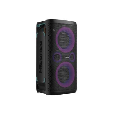 Hisense HP110 altavoz portátil o de fiesta Negro 300 W