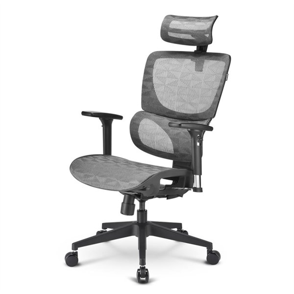 Sharkoon OfficePal C30M Asiento de malla Respaldo de malla