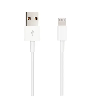 Cable USB 2.0 Lightning Nanocable 10.110.0401/ USB Macho -