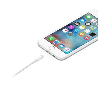 Cable de Carga Apple MXLY2ZM/A de conector Lightning a USB 2.0/